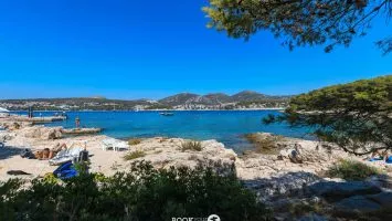 Dalmatian island on a Blue Cave tour from Split